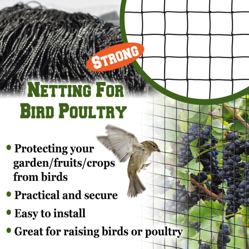 Bird Proof Netting