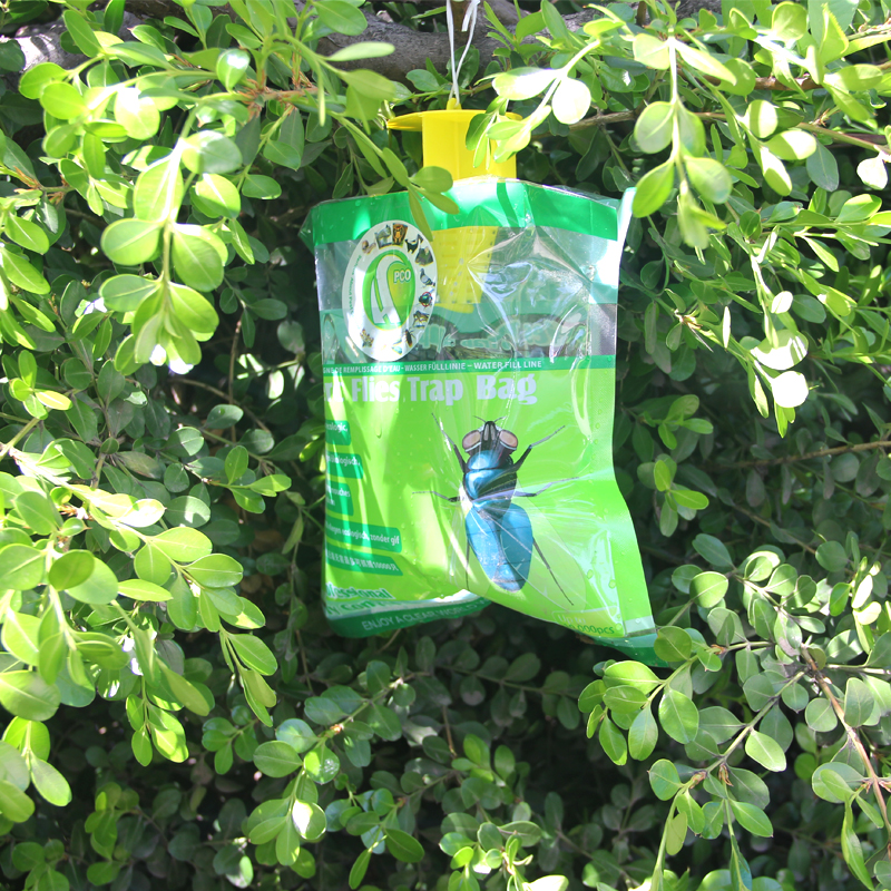 Fly Trap | FliesTrap