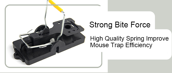 How to Deploy a Rat Snap Trap System in UK Food Facilities