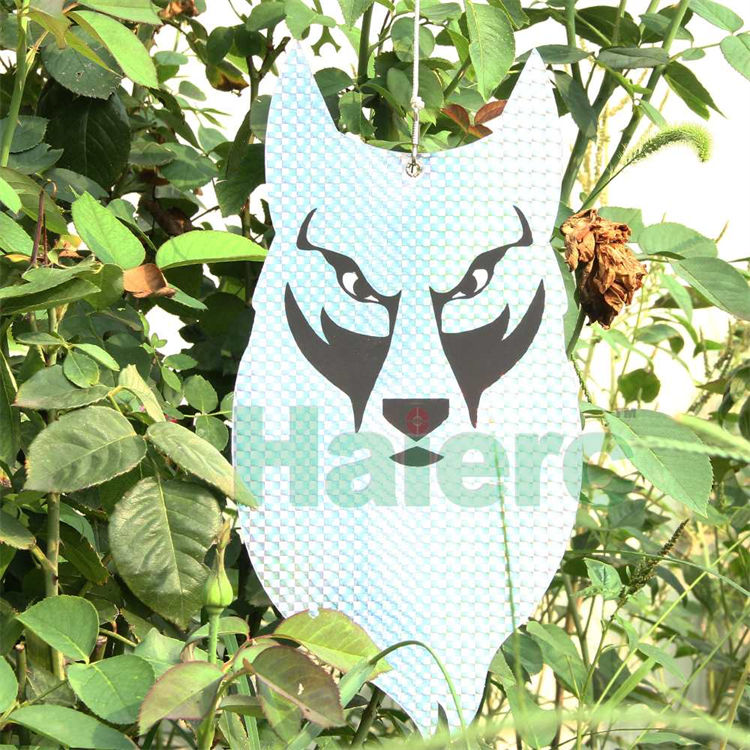 Haierc Pest Control Bird Scare Bird Repellent Flash Owl HC1621